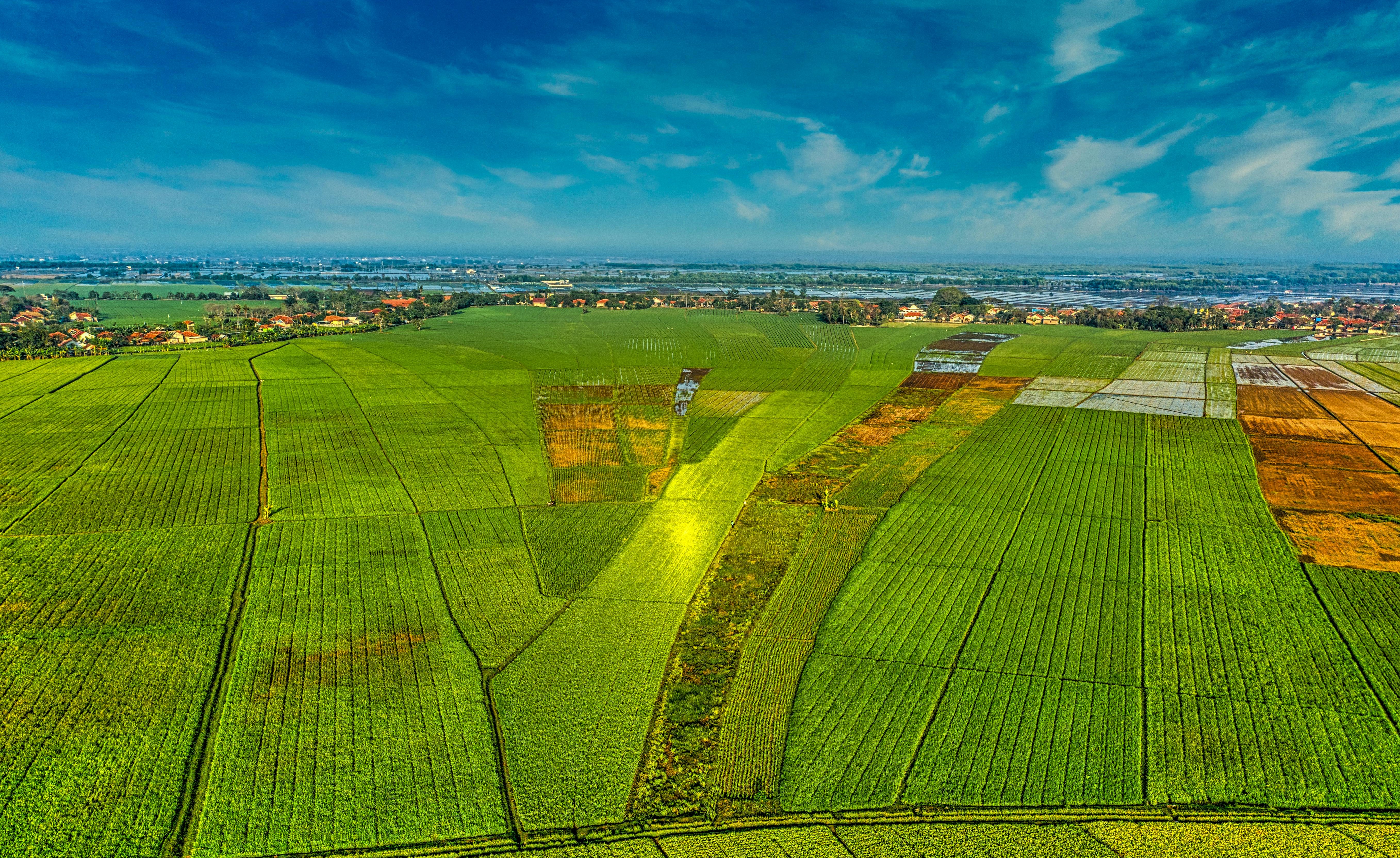 image of farm fields from above